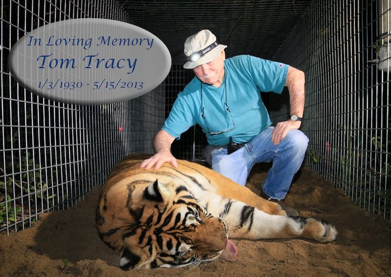 In Memory of Tom Tracy