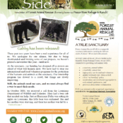 Forest Animal Rescue – Wild Animal Sanctuary